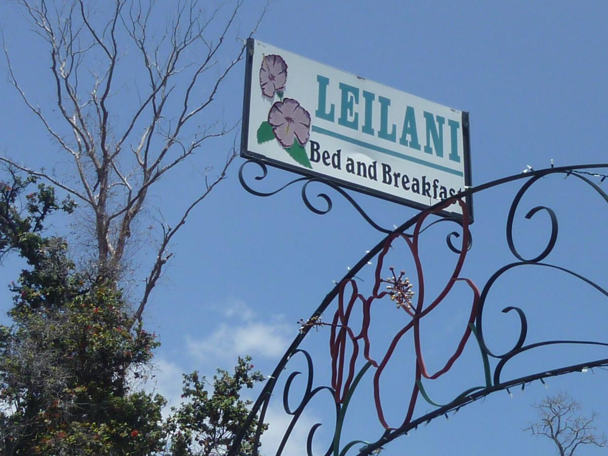 ハワイアン・オーシャン・ビュー レイラニ ベッド アンド ブレックファースト Bed & Breakfast エクステリア 写真